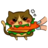 Кот гамбургер 7