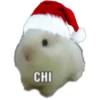 Stickers Navideños  5 11