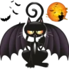 Halloween black cat 5