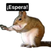 animalitos del bosque 5