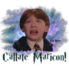 Hogwarts Express 8