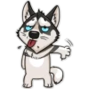 HuskyToon 7