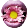 KISS 2 10