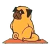 Perros & Yoga 5