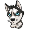 HuskyToon 8