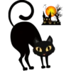 Halloween black cat 6