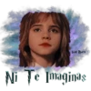 Hogwarts Express 13