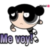 Powerpuff girls 8