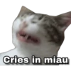 Memes uwu 14 10