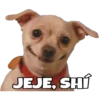 Perritos con frases 9