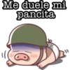 Me duele mi
pancita