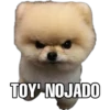 Perritos con frases 10