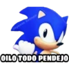 Surtido Rico 13