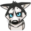 HuskyToon 11