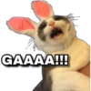 Memes uwu 14 12