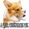 Perritos con frases 11