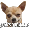 Perritos con frases 12