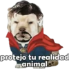 PERRITO PACK 5 9