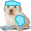 PERRITO PACK 5 10