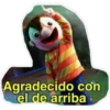 Beto 15