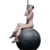 Miley Cyrus, Wrecking Ball 14