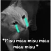 *Miau miau miau miau
miau miau