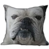 PERRITOS ASADOS 5