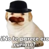 ¿No te parece eso
curioso?