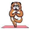 Perros & Yoga 6