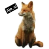 animalitos del bosque 12