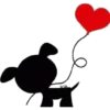 LoveCanino 8