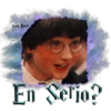 Hogwarts Express 14