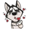 HuskyToon 13
