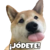 Perritos con frases 14