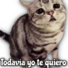 Todavia yo te quiero