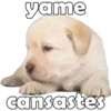 yame
cansastes