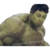 Surtido Rico 17