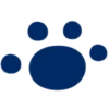 Emojis Stitch 2. 5