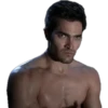 Teen Wolf (Tyler Hoechlin) 13