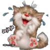 Gatitos tiernos 9