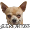 Perritos con frases 16