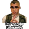 Bad Bunny Safaera 13