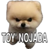 Perritos con frases 17