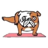 O