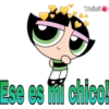Powerpuff girls 13
