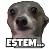 Perritos con frases 18