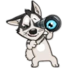 HuskyToon 14
