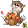 Gatitos tiernos 10