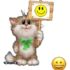 Gatitos tiernos 11