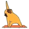 Perros & Yoga 9